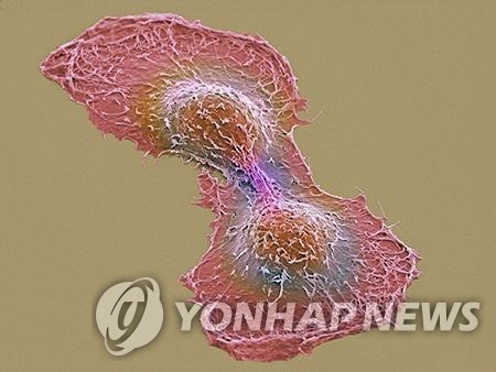 항암제 지형 바꾼 ADC…바이오업계 협업 러시