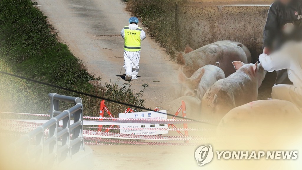 S. Korea to allow reopening of ASF-hit farms