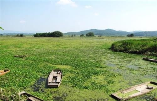 경남 창녕군 우포늪