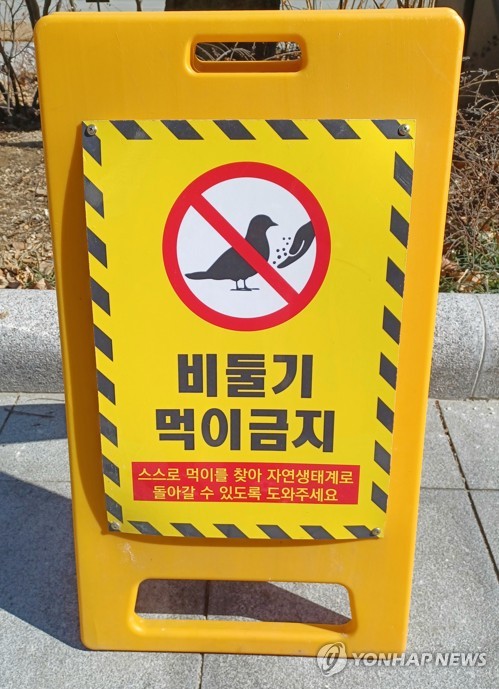  서울서 비둘기 먹이 줬다간 과태료…다른 지역·동물은 괜찮나