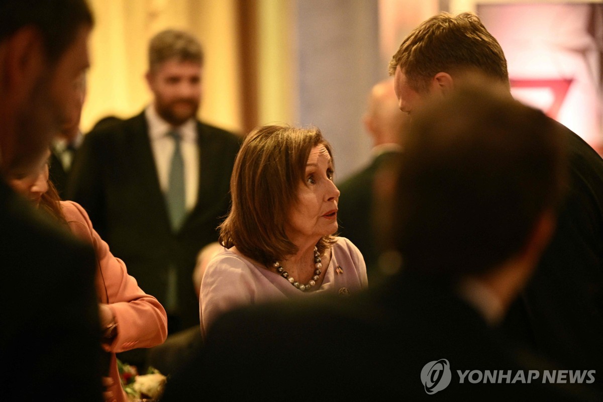 낸시 펠로시 전 하원 의장