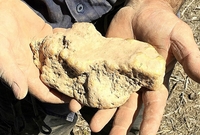 호주서 아마추어 채굴업자, 금 2.6㎏ 포함된 돌덩어리 횡재