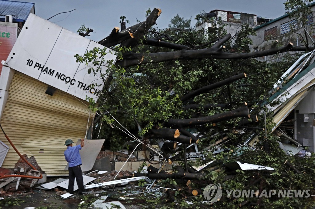 태풍 '버들'로 쓰러진 베트남 하노이 시내 가로수