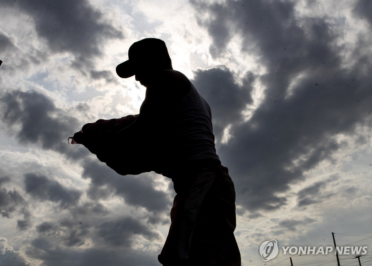 니카라과 수도 마나과에서 채소 옮기는 농민