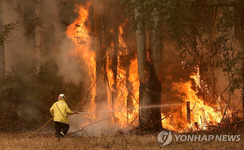 호주 남동부 뉴사우스웨일스(NSW)주 화재