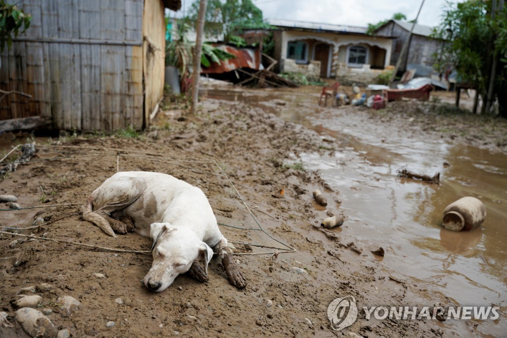 폭우에 뻘밭처럼 변한 에콰도르 주택가