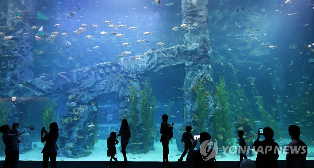재개장 앞둔 제2롯데 영화관·수족관은 어떤 곳 | 연합뉴스