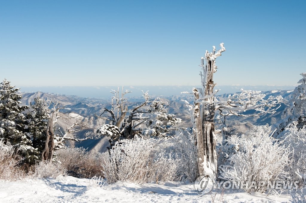 태백산은 지금 은빛 세상 | 연합뉴스