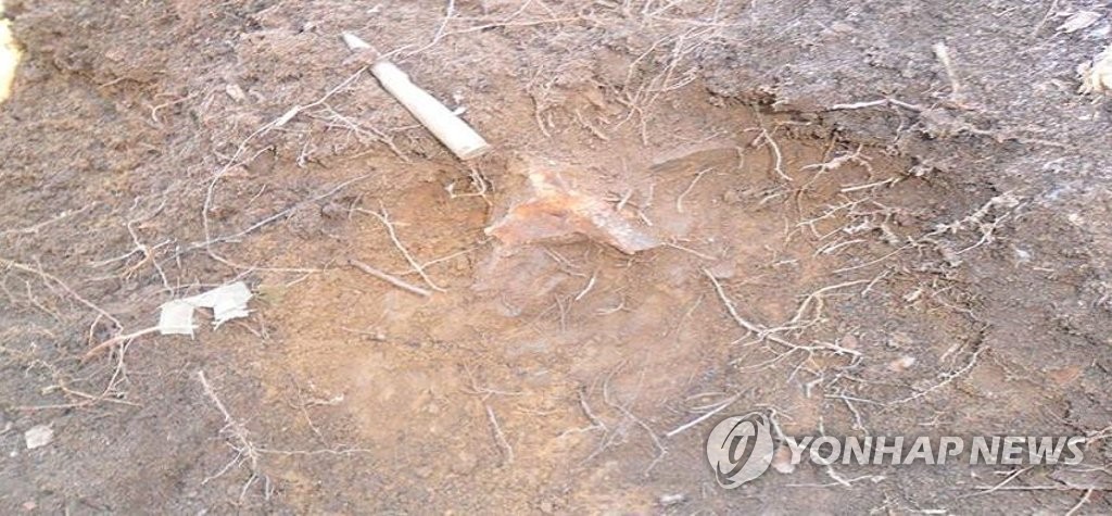 矢じり高地で見つかった、韓国軍戦死者と推定される遺骨（国防部提供）＝（聯合ニュース）