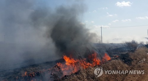 논·밭두렁 태우려다 산림까지 '활활'…영농철 화재 주의