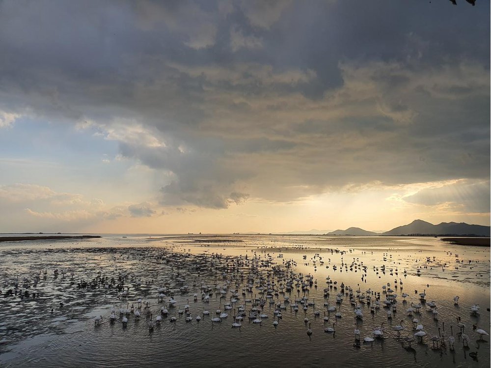 철새도래지 낙동강하구 3년 연속 생태관광지역 지정