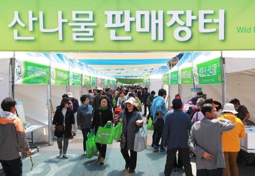영양 산나물·고령 대가야체험, 경북도 최우수 축제로 선정