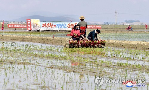 북한, 심상치 않은 봄 가뭄에 '평양 화이트칼라' 총동원