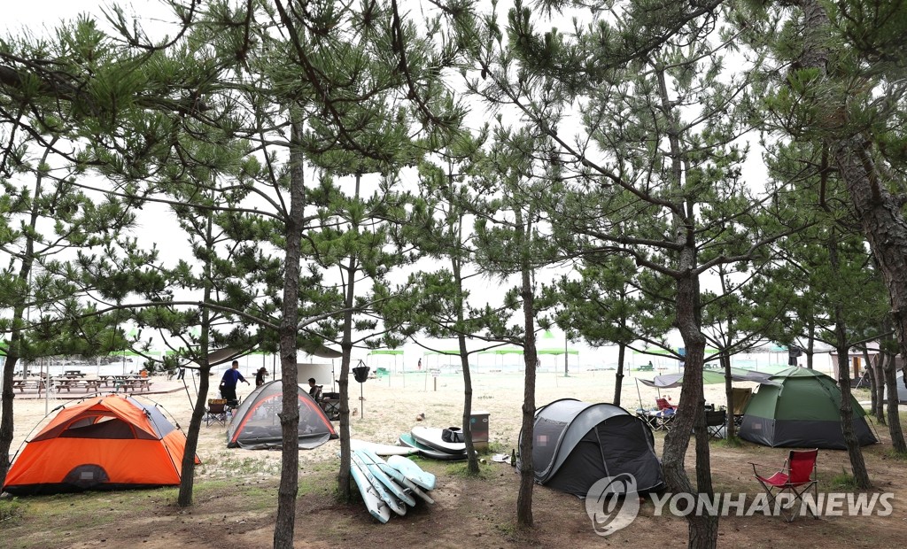 동해안 작은 해변의 거리두기 캠핑 인기