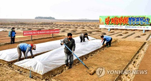 볍씨 파종하는 북한 농민들