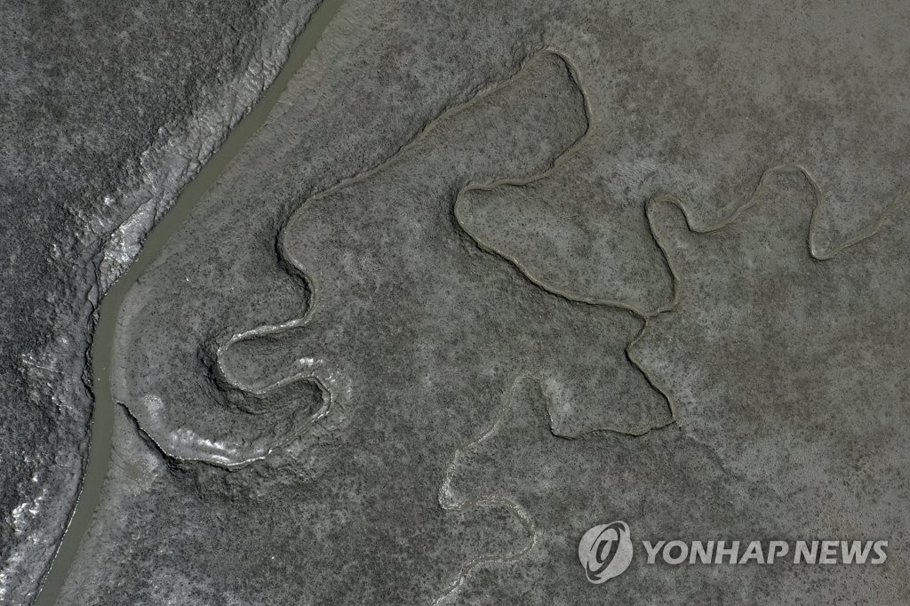 한국의 갯벌, 유네스코 세계유산 등재