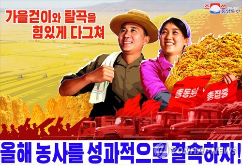 북한, 올해 '다수확 농민' 6만8천명…"쌀로 사회주의 지키자"