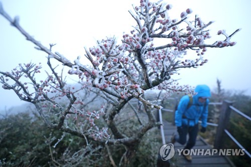 고드름·상고대·단풍·억새 공존하는 '가을 속 겨울'