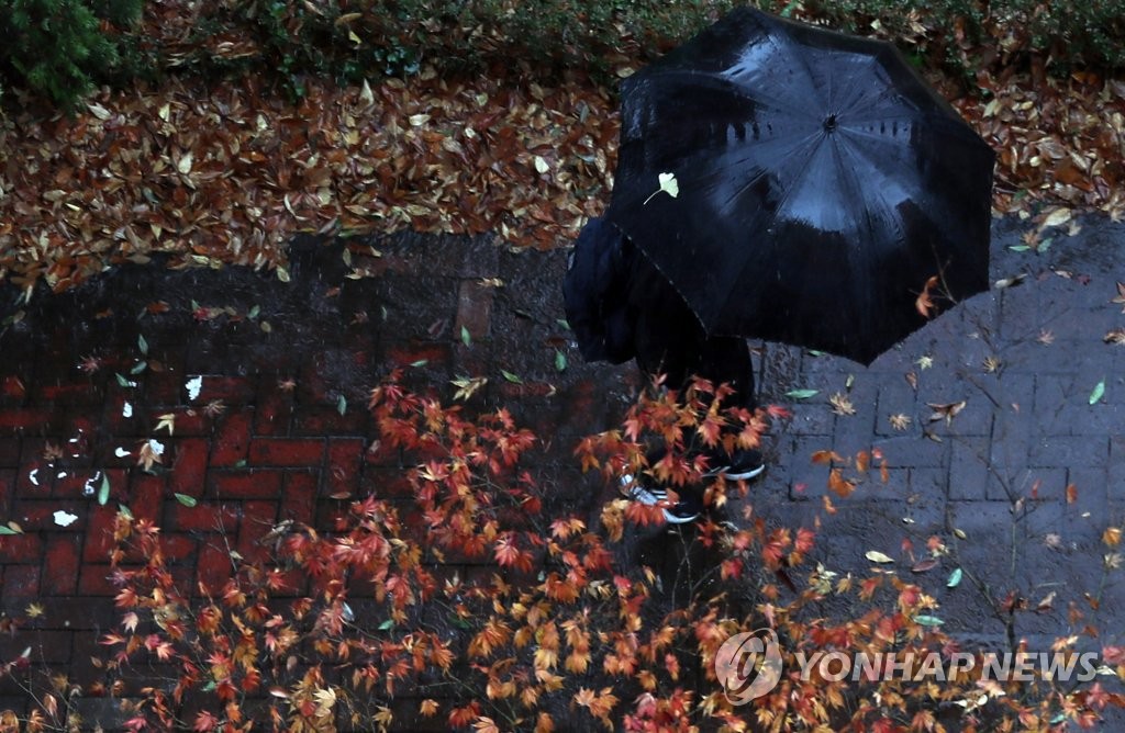 우산에 붙은 가을