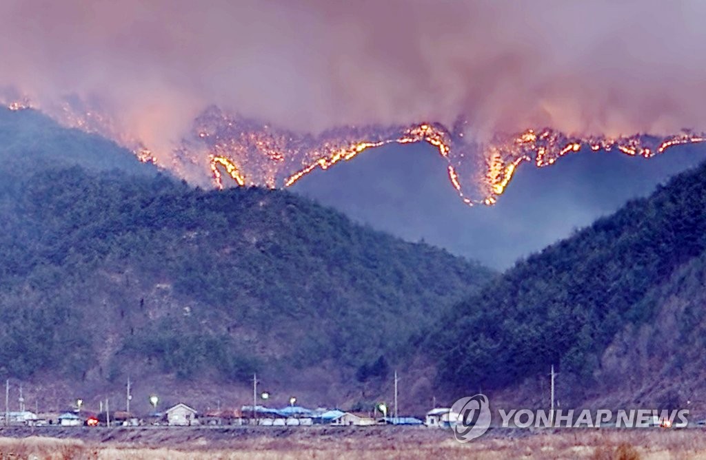 韓国東部の大規模山火事　原発やＬＮＧプラントに火の手迫る