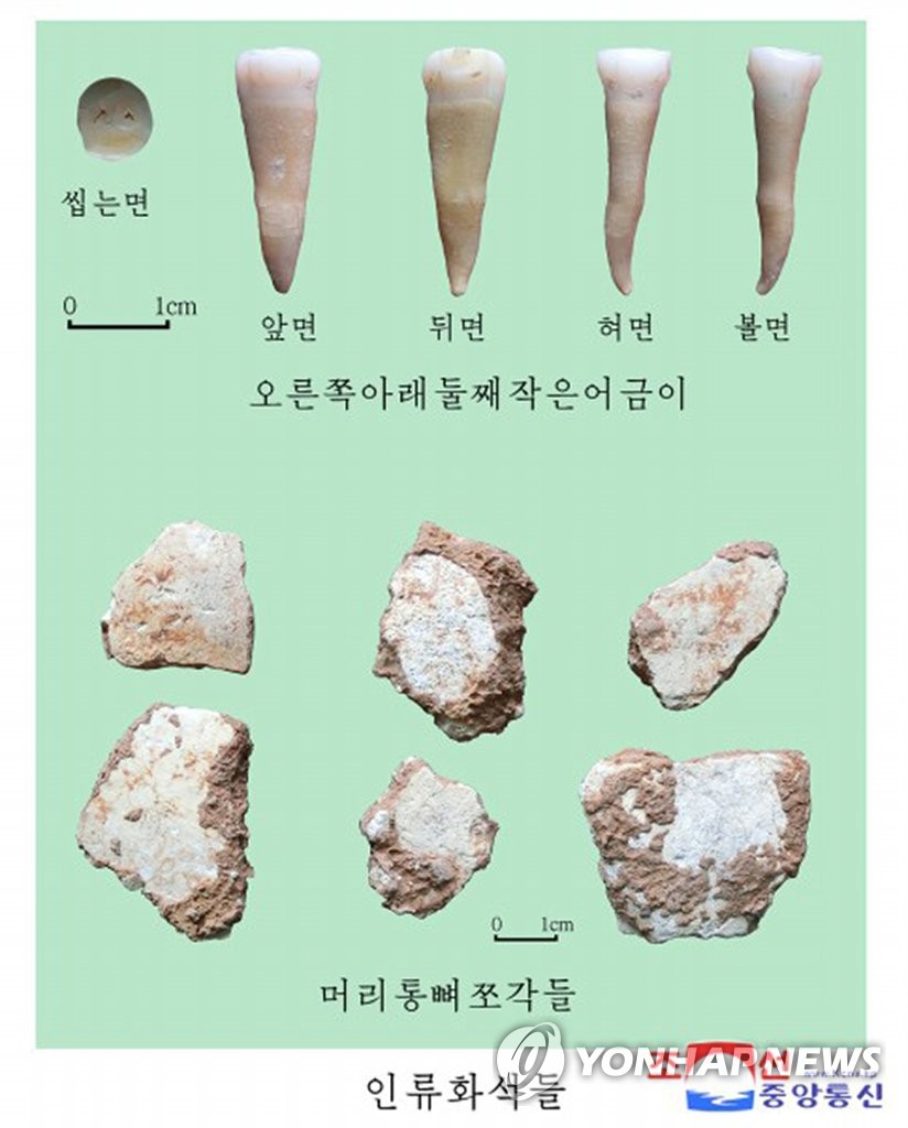 북한, 평양 구석기 동굴서 2만년 전 '인류 화석' 발견