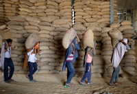 세계 식량가격 두달째 소폭 하락…곡물·육류는 상승세 유지