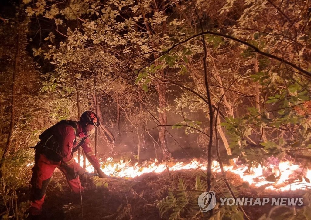 (2nd LD) Miryang wildfire continues for 3rd day, nearly 700 ha of woodland scorched