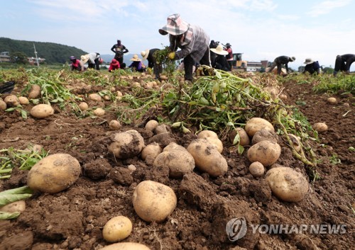 [통통 지역경제] 인제는 '농자재 반값'이 대세…주름살 편 농민들