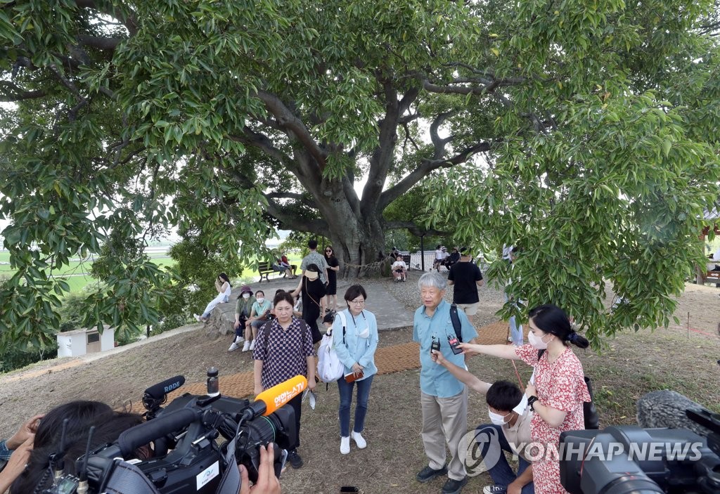 Chun Young-woo (R), chairman of the Cultural Heritage Committee, speaks to reporters during an inspection of a hackberry tree featured in the popular TV series "Extraordinary Attorney Woo" in Dongbu Village in the southern city of Changwon on July 29, 2022. (Yonhap)
