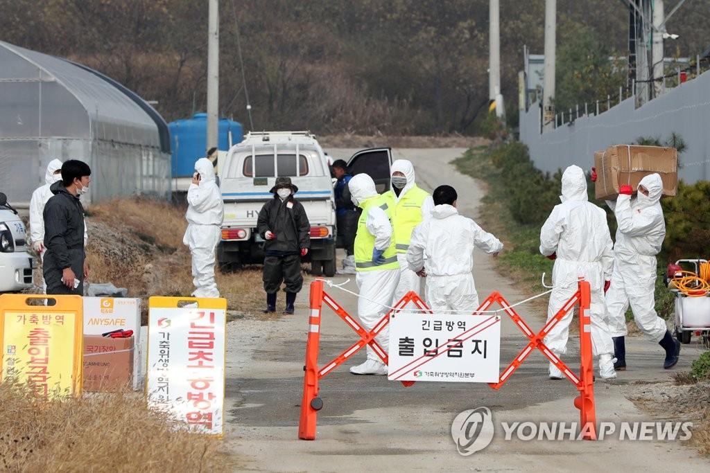 철원 양돈농가서 ASF 발생…농장 출입 통제