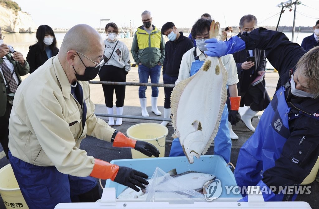 IAEA, 후쿠시마현서 물고기 샘플 채취
