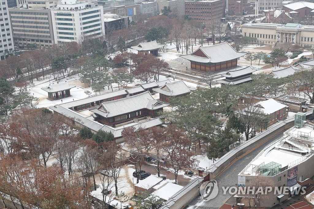 '새하얀 세상'…눈 내린 12월 첫 주말 풍경