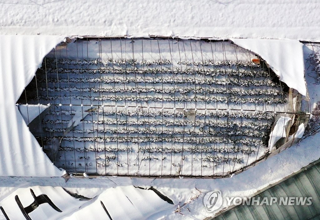 Heavy snow damages 90 vinyl homes and 23 barns in Jeonnam…800 million won in property damage