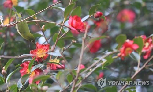 [날씨] 수도권 등 새벽에 눈발…서울 아침 -6도