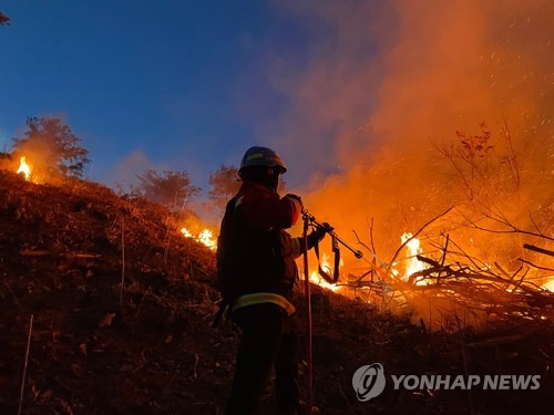 올해 경북지역 산불 가해자 19명 검거…불법소각 53명은 과태료