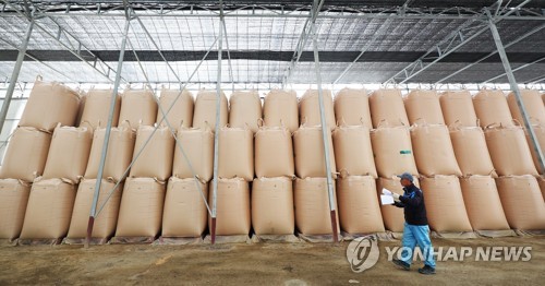 An official inspects a rice storage facility in Hwaseong, 42 kilometers south of Seoul, on March 23, 2023. The facility, run by a farmers' cooperative, stores rice procured by the government the previous year. (Yonhap)