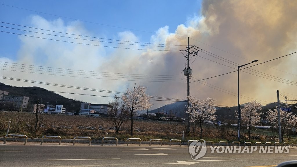 대전 서구에서 산불