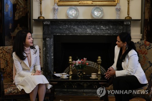 [尹국빈방미] 野 '넷플릭스 김여사 보고'에 "국정에 오해 만들 수 있어"(종합)