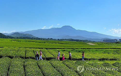 [줌in제주] "코로나19 지나도 변한 게 없다"…잃어버린 제주관광 4년