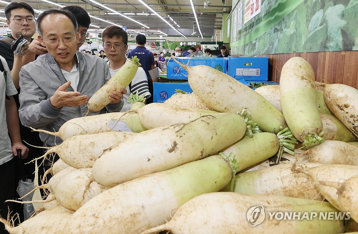 추석 농축수산물 수급 상황 점검하는 추경호 부총리