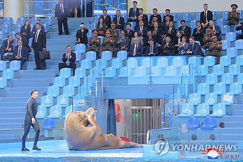 N. Korean leader in Vladivostok