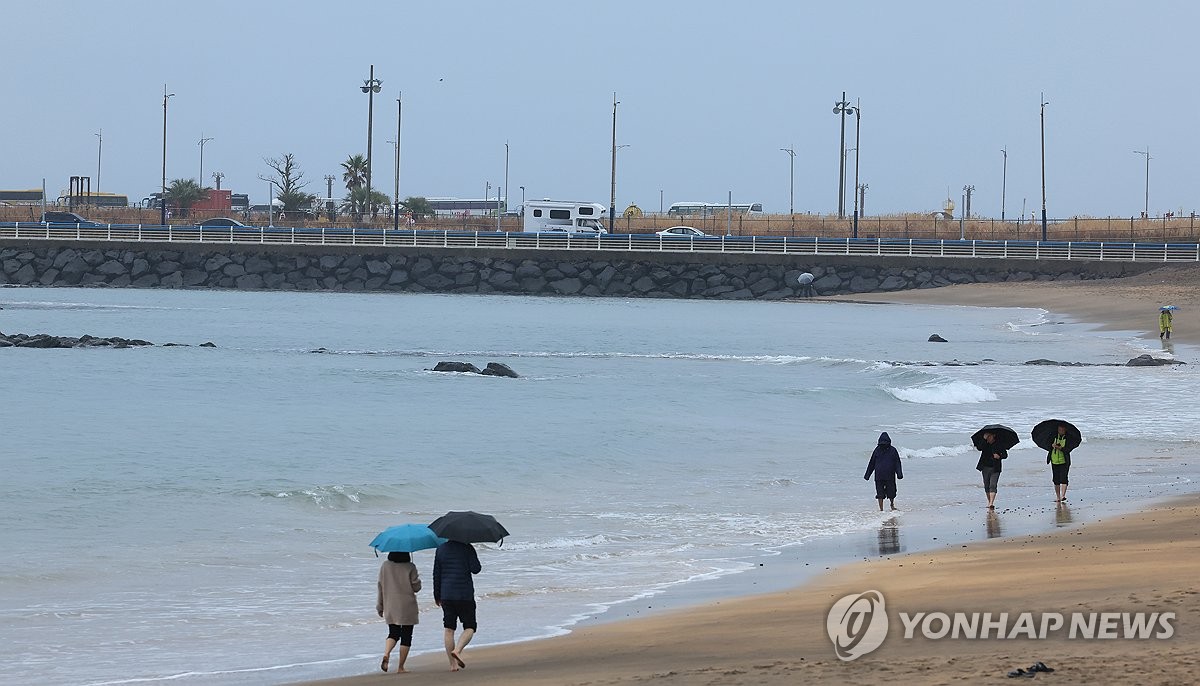 Jeju Weather Forecast Rain and Wind Warning in Effect News Directory 3