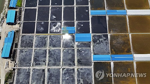 Salt field under heat wave