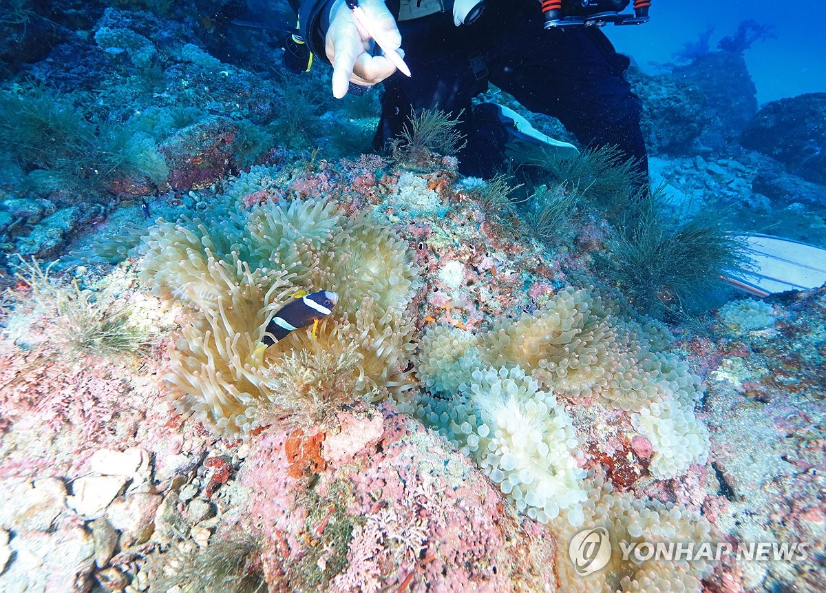 ÆÞÆÞ ²ú´Â Á¦Áֹٴ١¦'´Ï¸ð' µÕÁö ¸»¹ÌÀßµµ Áý´ÜÆó»ç