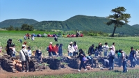 [픽! 제주] 장작불에 구운 대파 맛은…보롬왓 파릇파릇 대파축제