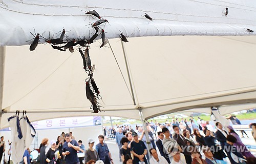 「愛の虫」　今年も大量発生