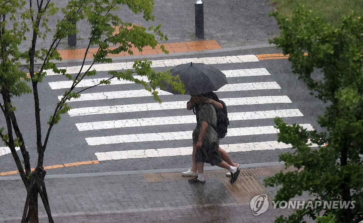 대전·세종·충남 구름 많고 소나기…낮 최고 34도