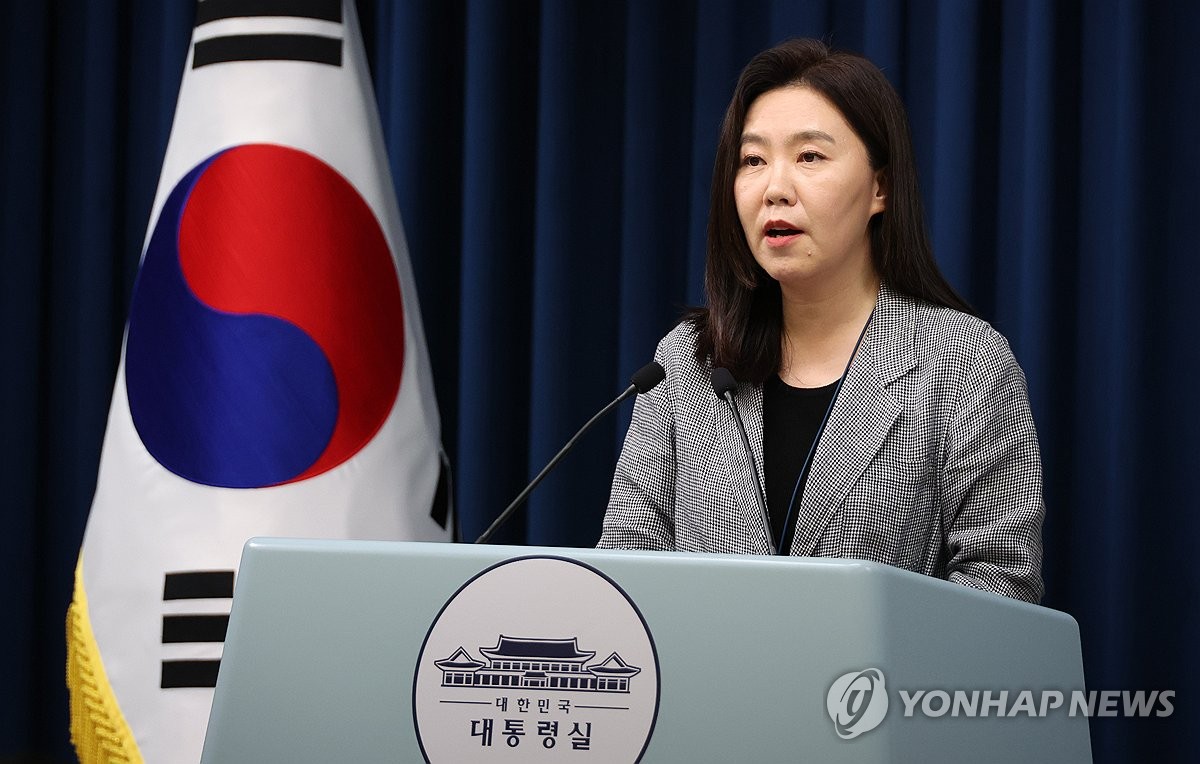 브리핑하는 강유정 대변인