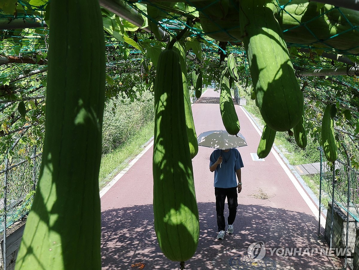 절기상 더위 가신다는 처서인데…낮 최고 36도