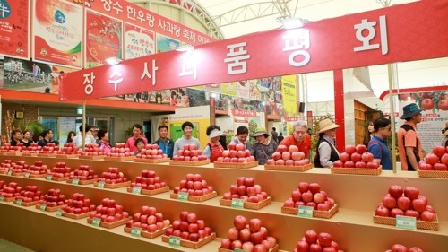 '레드의 매력' 장수 한우랑 사과랑 축제 내달 6일 개막